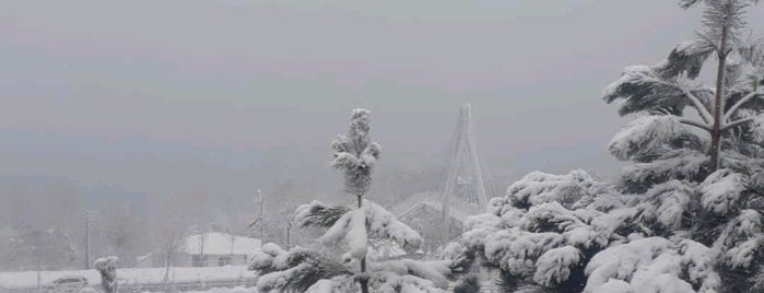 Ahlat Belediyesi is one of Derin : понравившиеся места.