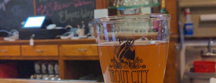 Trout City Brewing is one of Minnesota Breweries.