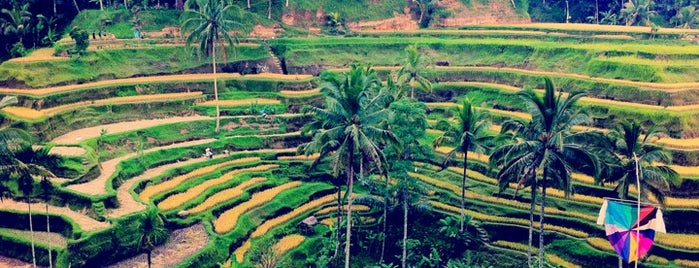 Tegallalang Rice Terraces is one of Bali.