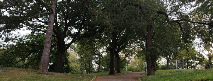 St. Mary's Park is one of NYC Parks.