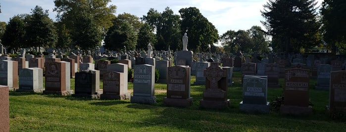 Mount St. Mary Cemetery is one of Auto approval.