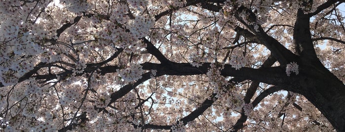 下中野野崎公園 is one of 公園　岡山市.