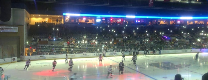 Ice Arena is one of minor league sports arenas.