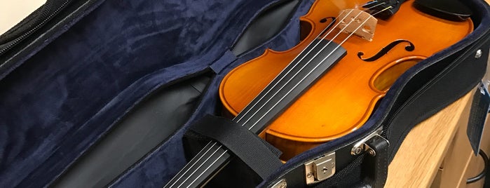 Johnson String Instruments is one of To try (USA except NYC & HI).