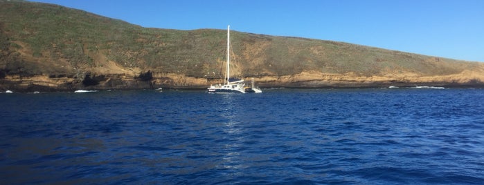 Molokini Crater is one of Tempat yang Disukai David.