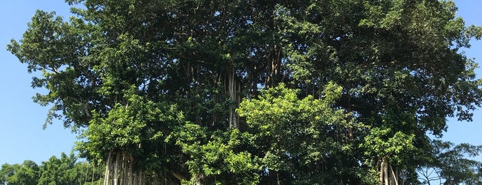 Candi Mendut (Mendut Temple) is one of Makiko 님이 좋아한 장소.