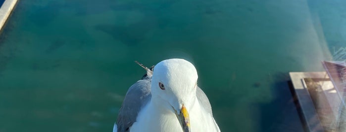 Kagaya is one of Makiko'nun Beğendiği Mekanlar.