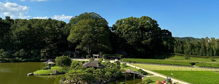 Okayama Korakuen Garden is one of สถานที่ที่ Makiko ถูกใจ.