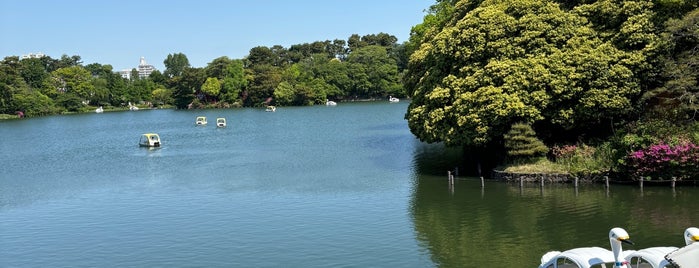 Senzoku Pond is one of おじゃましたところ.