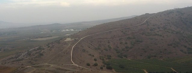 Golan Heights is one of Kesher Taglit-Birthright Israel.