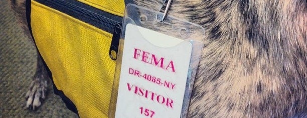 FEMA JFO is one of ny shizz.
