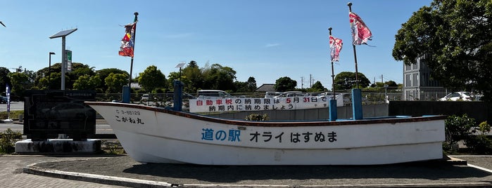 Michi no Eki Orai Hasunuma is one of 道の駅1.