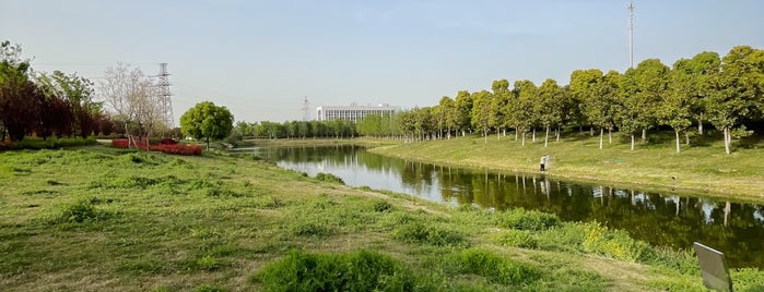 张庄村 is one of Lieux qui ont plu à leon师傅.