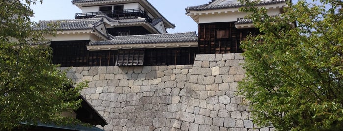 Matsuyama Castle is one of 日本100名城.