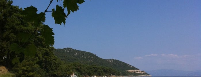 Papalimani Restaurant Lounge & beach bar is one of Thassos beaches.