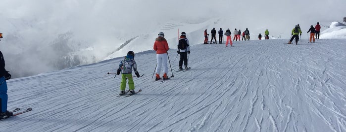 Kitzbühel Ski Area is one of my visited places.