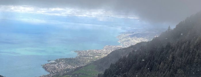 Rochers de Naye is one of Montreux.