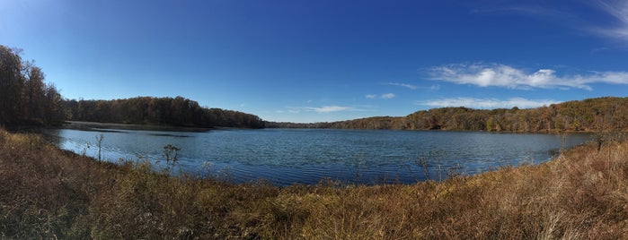 Hematite Lake Trail is one of Locais curtidos por David.