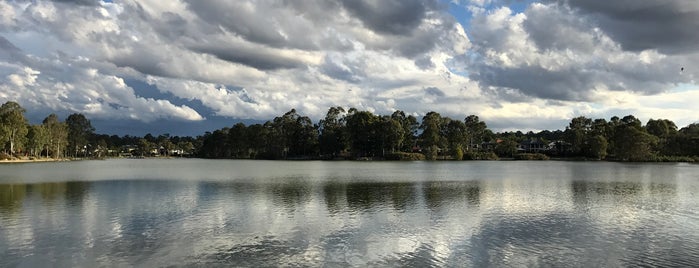 Forest Lake Lake is one of Queensland Baby!.