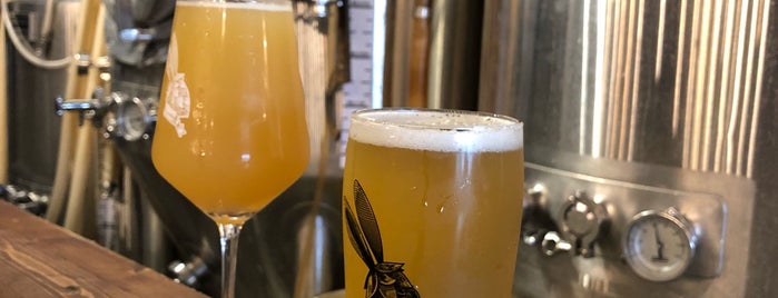Reve Brewing is one of Must See Jacksonville.