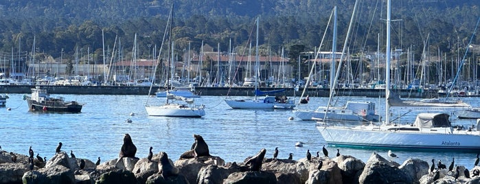 Monterey Bay Whale Watch is one of Tempat yang Disukai Jennifer.