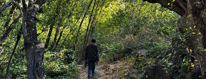 Mills Creek Canyon Park is one of Sun Pr0n Manor Adventures.