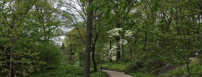 New York Botanical Garden is one of Regi : понравившиеся места.