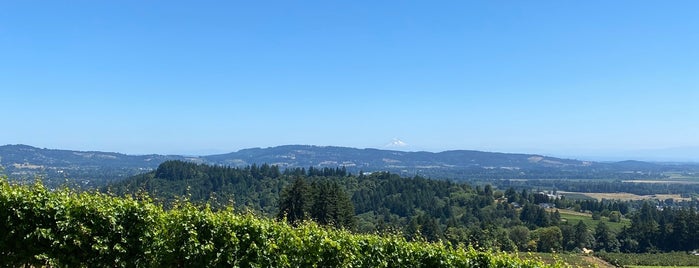TWOMEY Willamette Valley is one of Craigさんのお気に入りスポット.