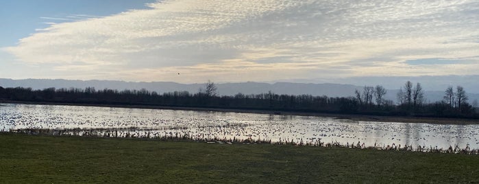 Sauvie Island Wildlife Area is one of 82 Best Birdwatching Spots in the US.
