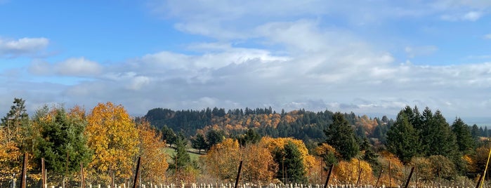 Ayoub Vineyard is one of Oregon Wine Country.