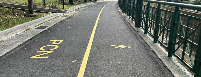 Serangoon Park Connector is one of Jogging.