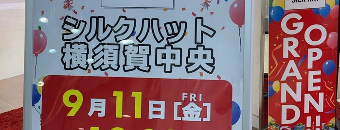シルクハット 横須賀中央店 is one of beatmania IIDX 20 tricoro 設置店.