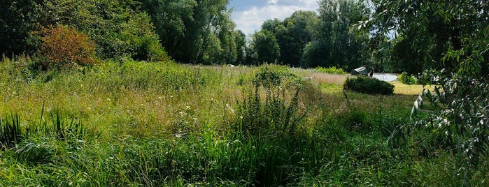 Geulpark is one of Dirk : понравившиеся места.