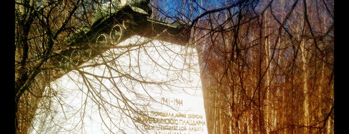 Памятник «Атака» is one of Зеленый Пояс Славы.