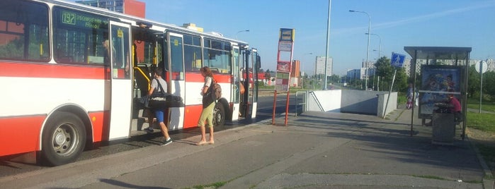 Pavlíkova (bus) is one of Major Major Major Major.