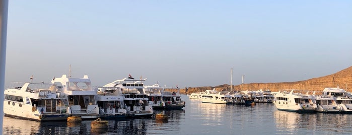 Travco Marina is one of Tempat yang Disukai Burak.