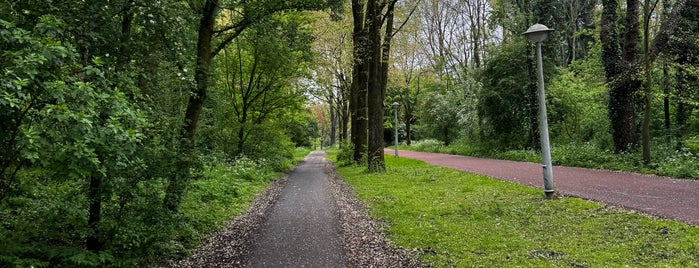 Rembrandtpark is one of Amsterda.