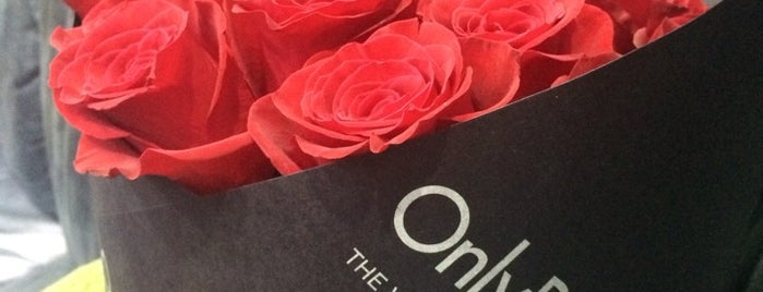 Only Roses is one of Lieux qui ont plu à Ba6aLeE.