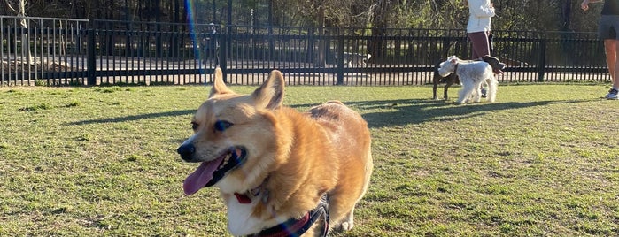 Dogpark is one of Top picks for Dog Runs.