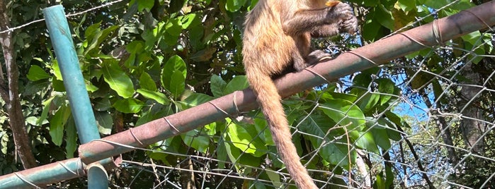 Zoológico de Brasília is one of Onde pedalar em Brasília.