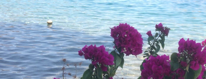 Selimiye Mavisi Beach is one of Posti che sono piaciuti a Derya.
