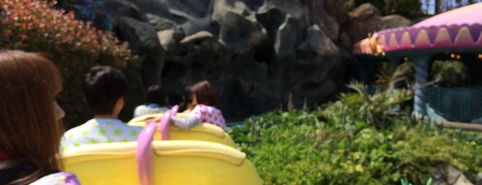 Flounder's Flying Fish Coaster is one of Tokyo Disney Resort♡.