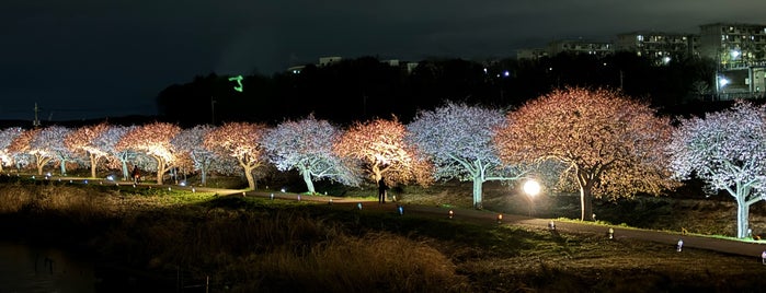 八千代橋 is one of 橋・弐.