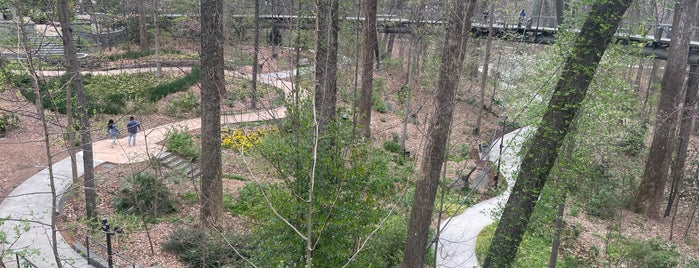 The Kendeda Canopy Walk is one of Atlanta Ideas.