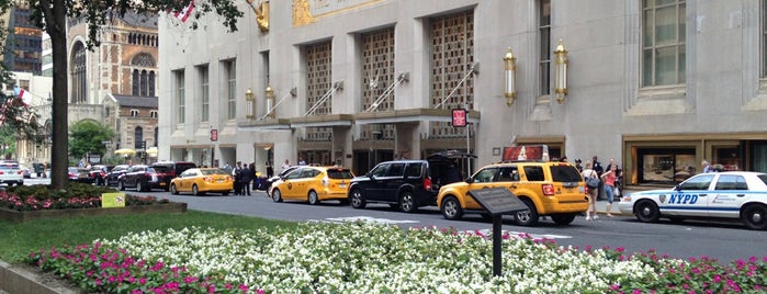 Waldorf Astoria New York is one of Convention and Ekklesiai Sites.