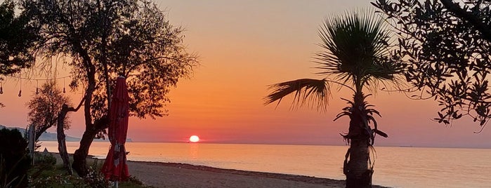 Kumsalda Balık is one of Posti che sono piaciuti a Faruk.