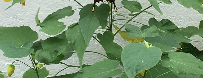 The Butterfly House is one of Tempat yang Disukai Phat.