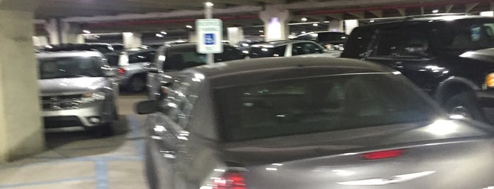 The Big Blue Parking Deck is one of DTW Domination.