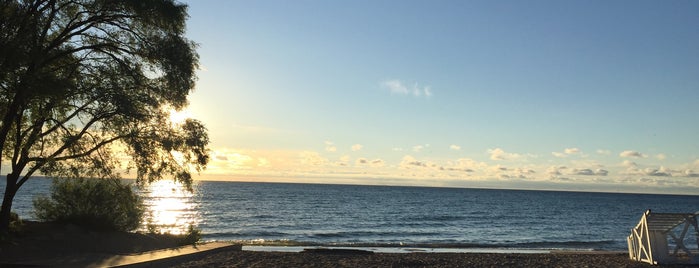 Loyola Beach is one of Chicago to-do.