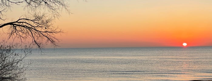 Hartigan Beach Park is one of Locais curtidos por Robert.